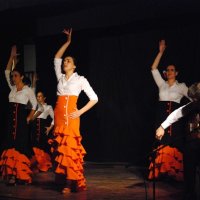 Espetáculo de Flamenco