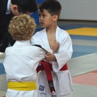Festival de Judo