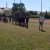 2º Aniversário do Rugby Clube Mustangs de Almada