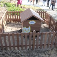3.º Abrigo para felinos construído na Freguesia